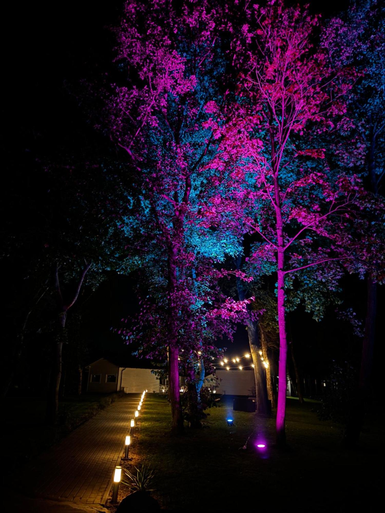 Lumi Resort Domki Letniskowe Z Podgrzewanym Basenem Rewal Extérieur photo